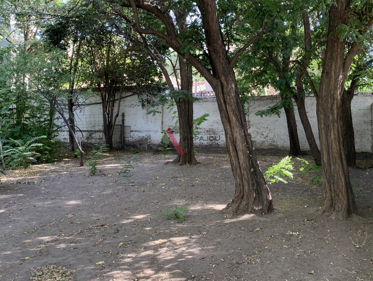 CASA 2 DORM - CANADA 6000 - NEUQUEN CAPITAL